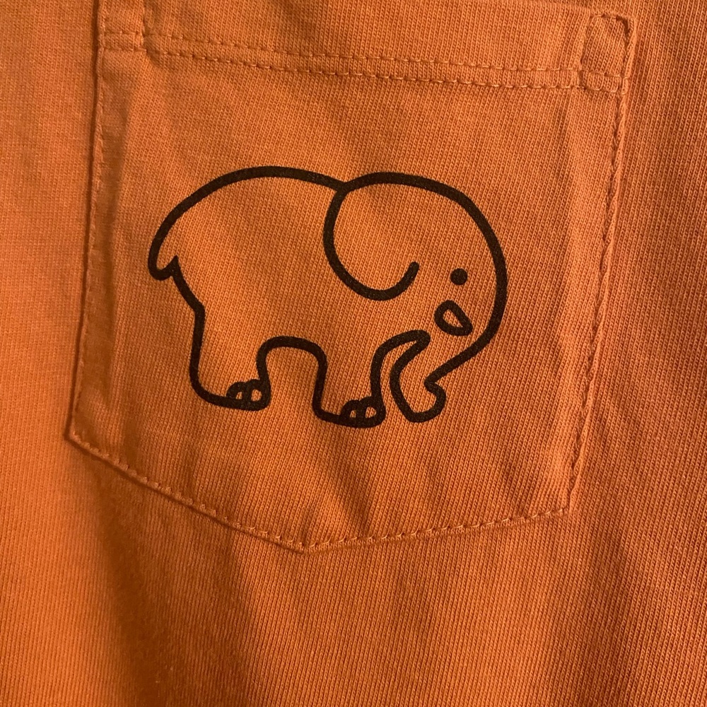 Ivory Ella Long Sleeve Tee Orange/Coral Graphic Tiger Print Organic Cotton M - Picture 9 of 11